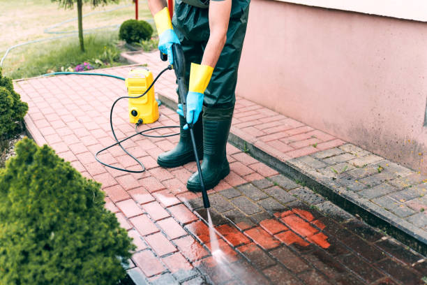 Best Best Pressure Washing Companies  in Marion, MT