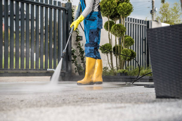 Best Affordable Pressure Washing  in Marion, MT